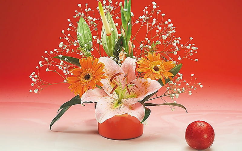 Flower arrangement, flowers, petals, tomato, bloom, HD wallpaper