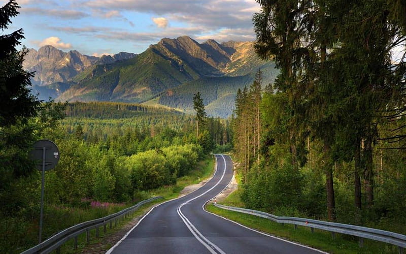 Road to Tatry, Poland, road, Tatry, mountains, trees, HD wallpaper