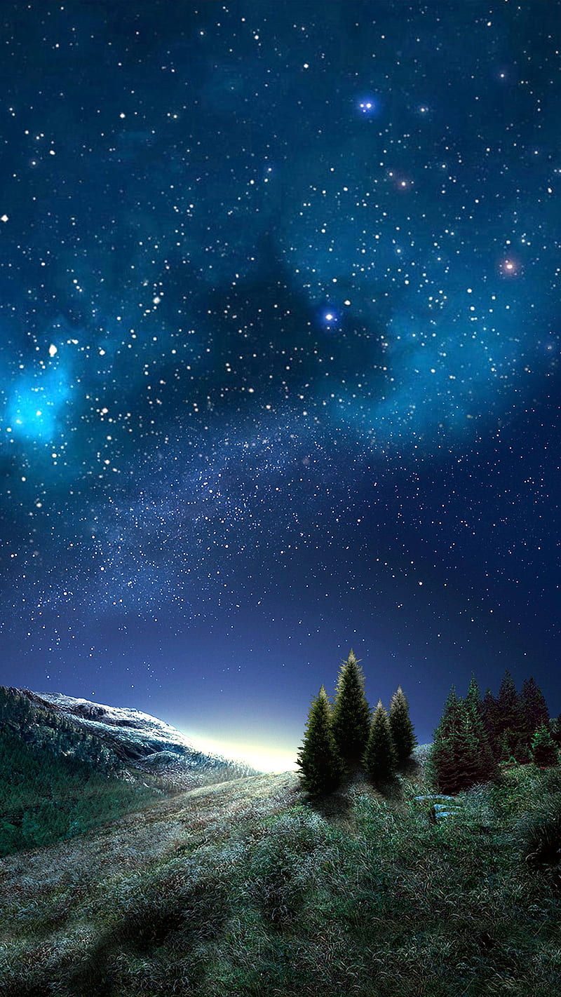 sapin, ciel, fir, sky, star, HD phone wallpaper