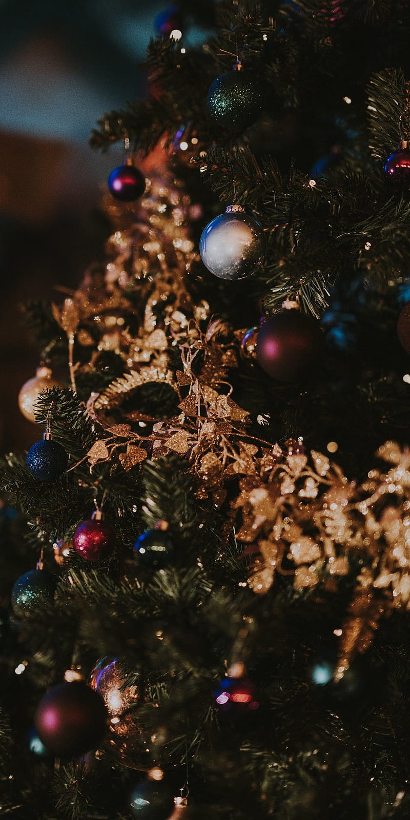 Chúc mừng Giáng Sinh 2019! Hãy cùng xem những hình ảnh đẹp và cảm nhận sự ấm áp của mùa giáng sinh năm nay.