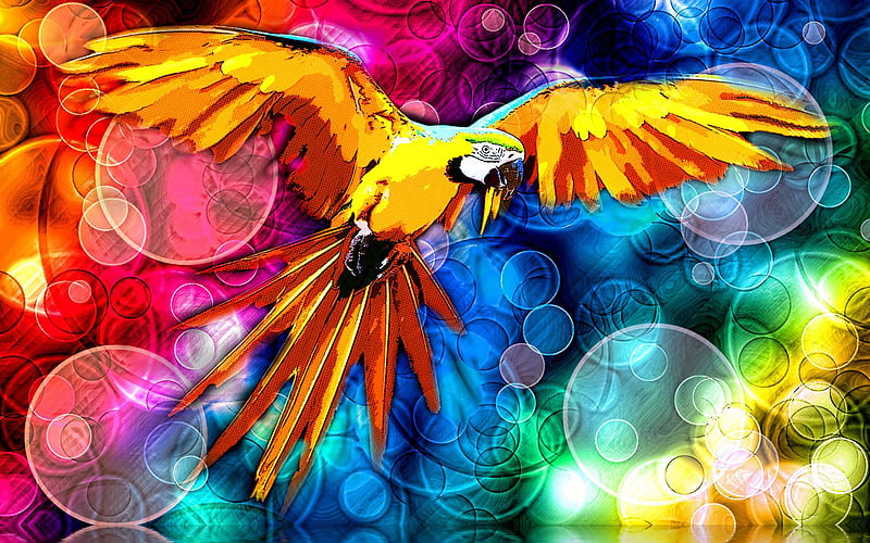 abstract macaw, creative, parrots, wildlife, colorful parrot, abstract parrot, Ara, macaw abstract bird, HD wallpaper