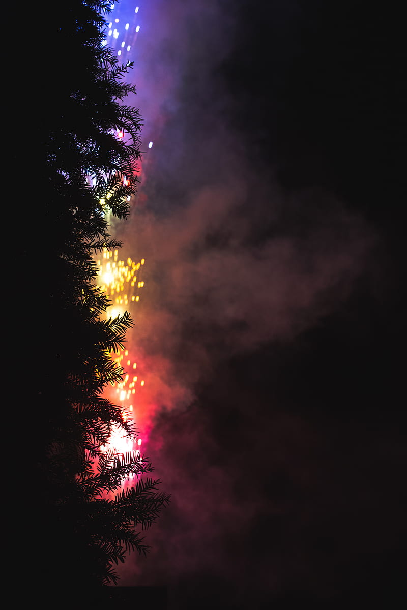 fireworks, salute, tree, dark, night, HD phone wallpaper