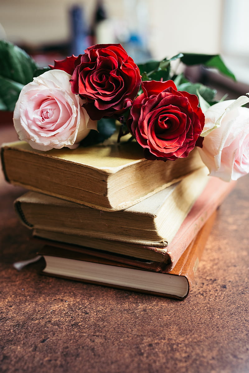 Roses, flowers, petals, bouquet, books, HD phone wallpaper | Peakpx