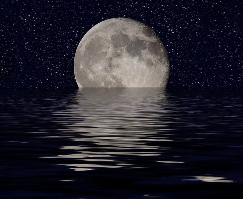 ~Moonset~, nature, moon, view, lake, HD wallpaper