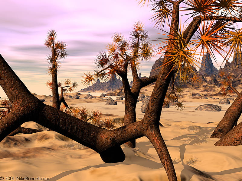 The Spike Tree, spikey, nature, desert, trees, HD wallpaper