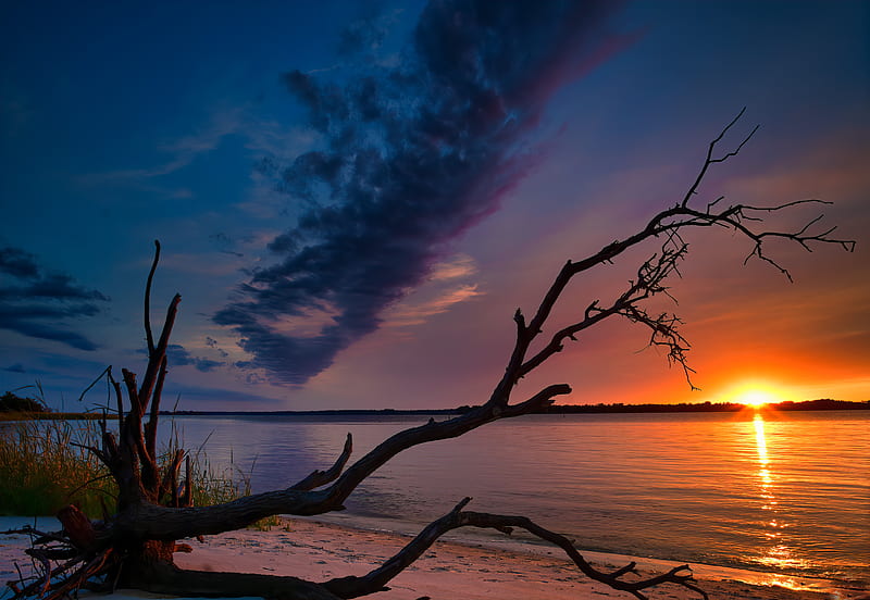 Earth, Sunset, North Carolina, River, Sky, Tree, HD wallpaper