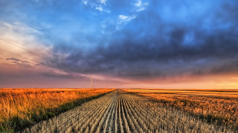 long cultivated fields r, fields, r, electric lines, clouds, rows, HD wallpaper