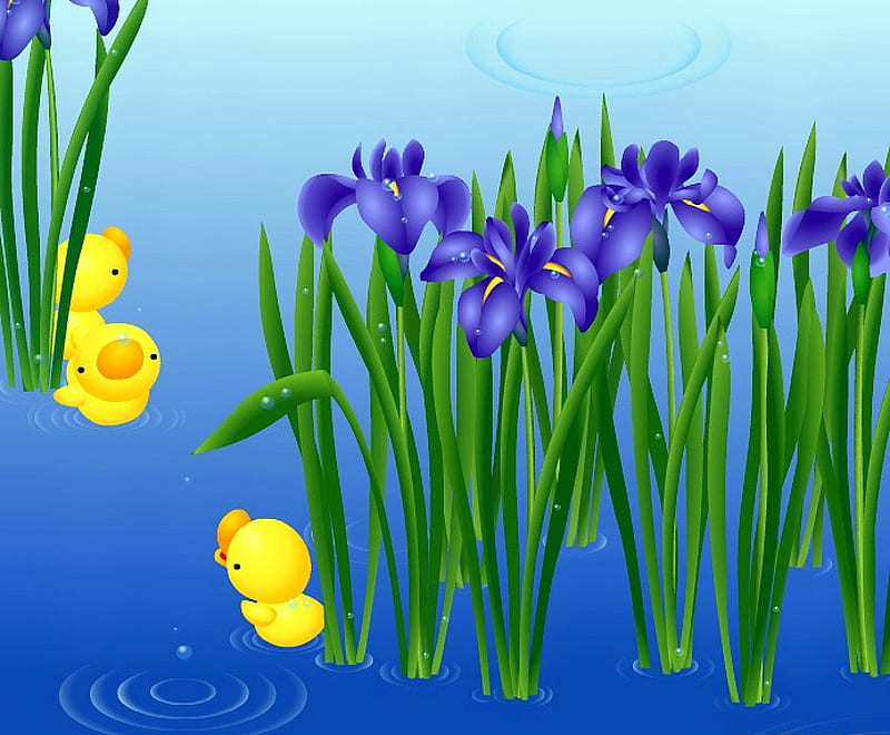 flowers and ducklings, water, duckling, cartoon, iris, HD wallpaper