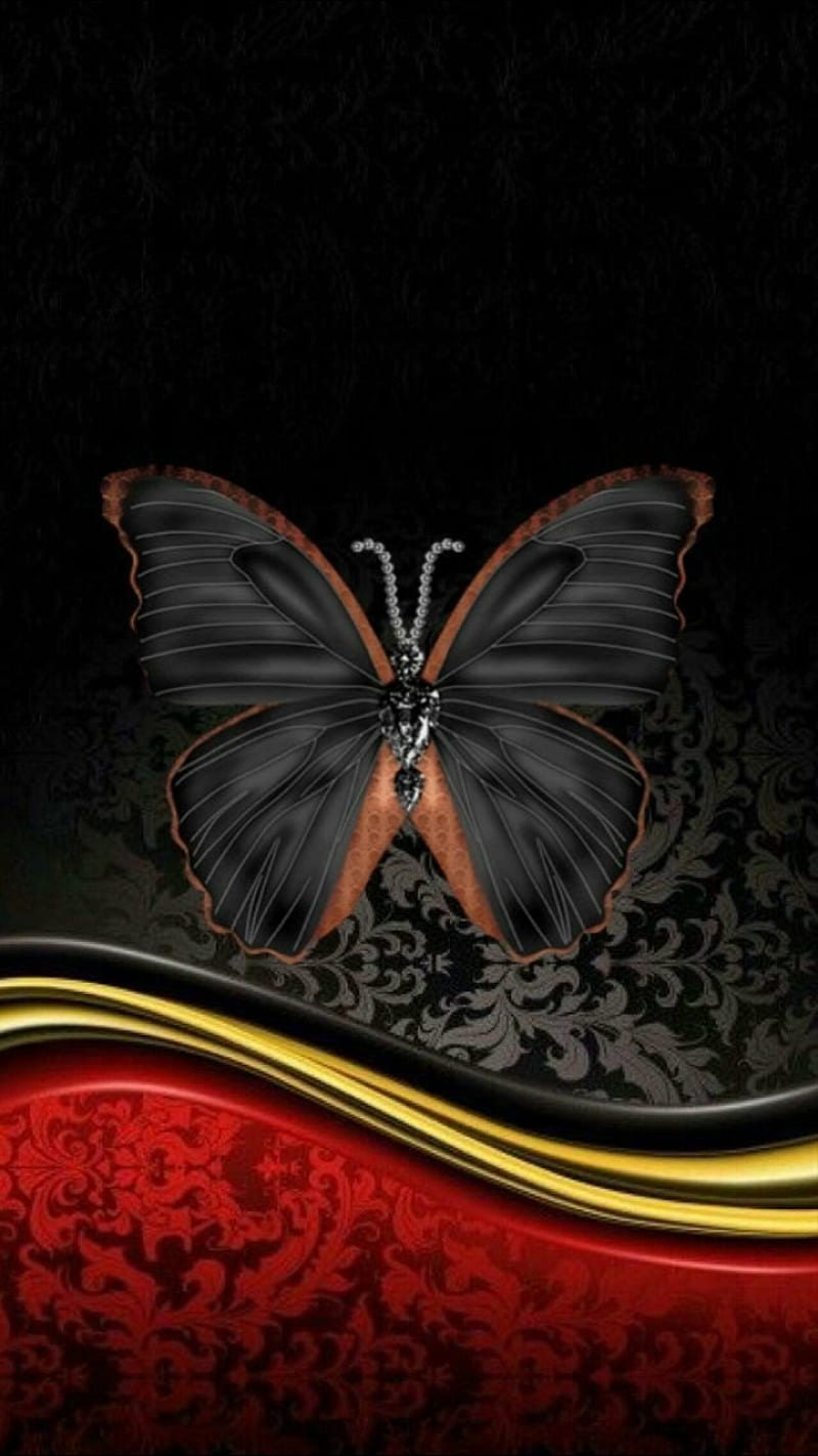 butterfly, screen saver, HD phone wallpaper