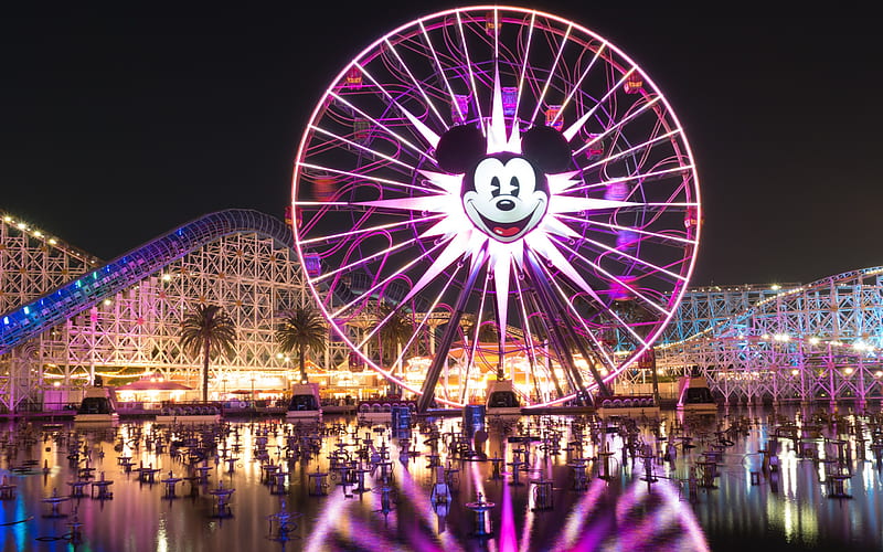 Disneyland, amusement park, fountain, Ferris wheel, night, HD wallpaper