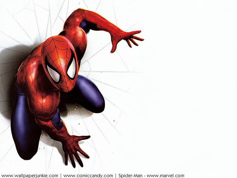spider man, friendly neighbourhood, amazing, wall crawler, web slinger, HD wallpaper