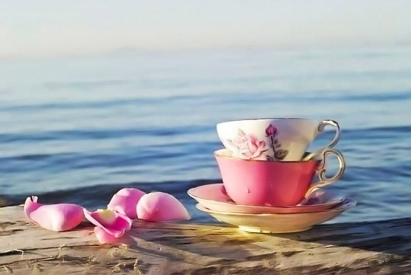 by the sea, rose petals, water, pink, cups, sea, HD wallpaper