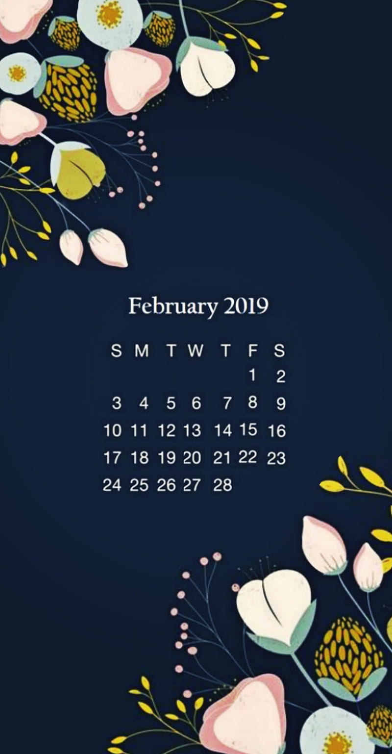 February 2019 calendar cute HD mobile wallpaper Peakpx