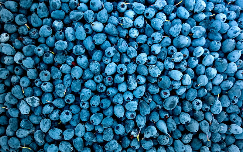 blue berry texture, blueberries texture, blue berries background, a lot of blueberries, wild berries, blueberries, HD wallpaper