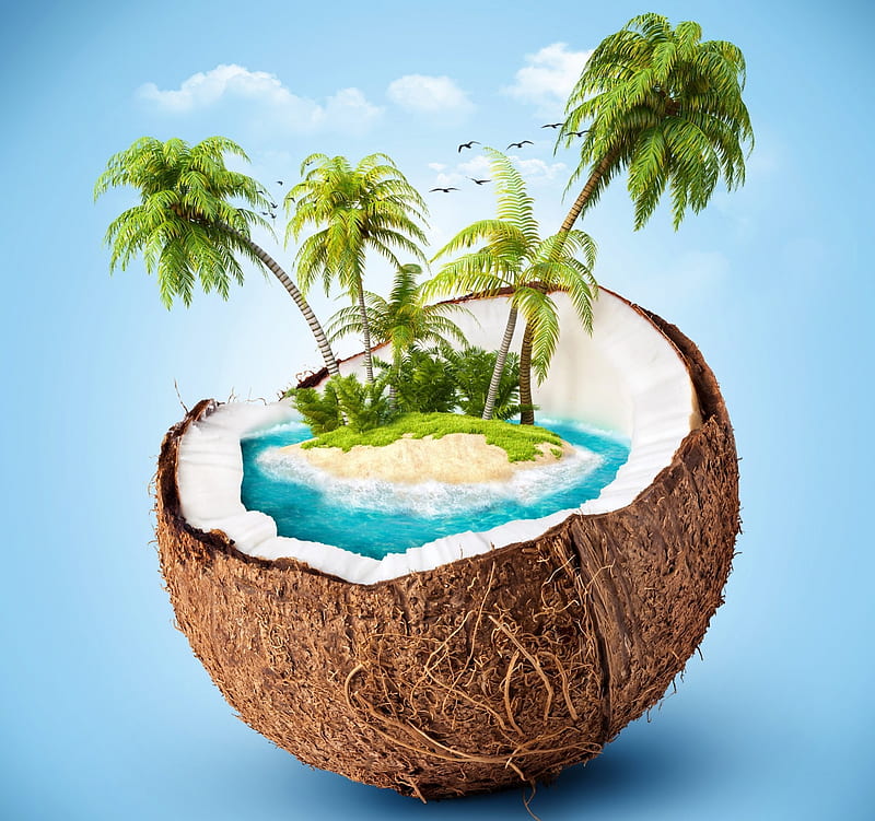 Coconut Island, fantasy, coconut, summer, island, creative, sea, blue, palm tree, HD wallpaper