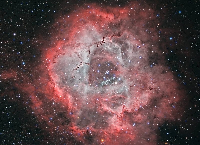 A Cosmic Rose The Rosette Nebula in Monoceros, galaxies, space, stars, planets, cool, fun, HD wallpaper