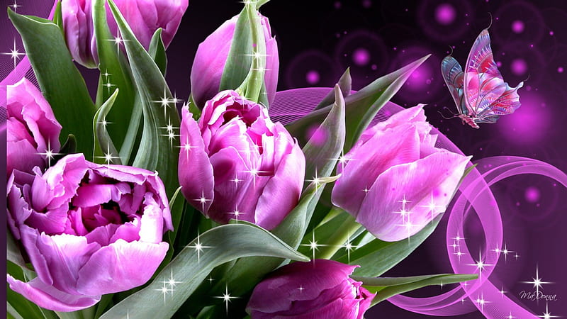 Tender Tulips, stars, fragrant, spring, floral, butterfly, bouquet, dark, flowers, garden, tulips, pink, HD wallpaper