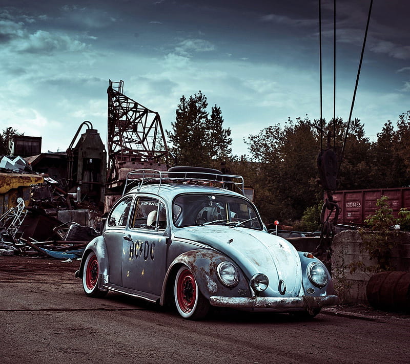 Beetle, car, old, park, HD wallpaper