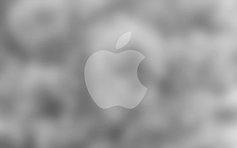 Apple gray logo, gray blurred background, Apple, minimal, Apple logo, artwork, HD wallpaper
