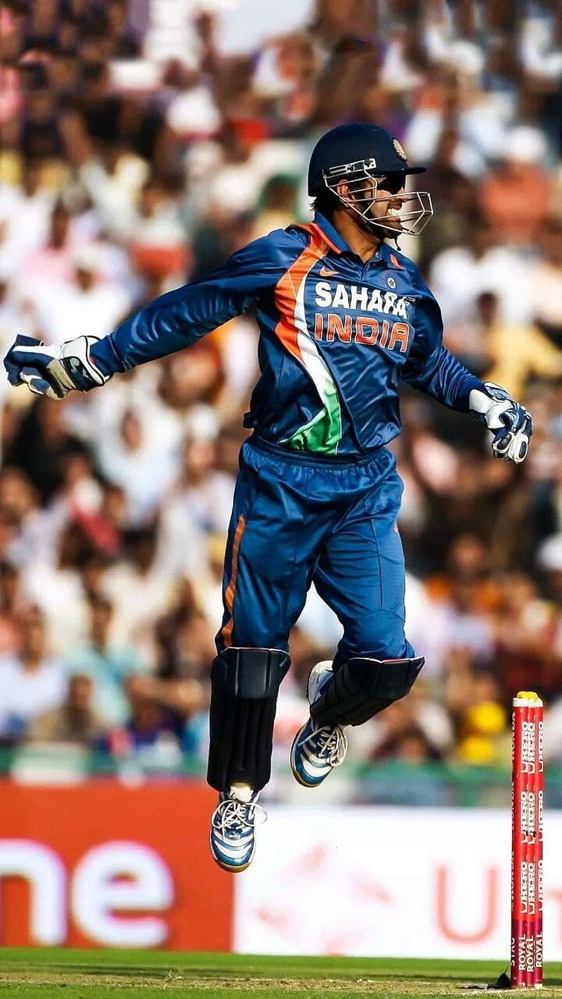 MS Dhoni, cricket, india, player, esports, HD phone wallpaper
