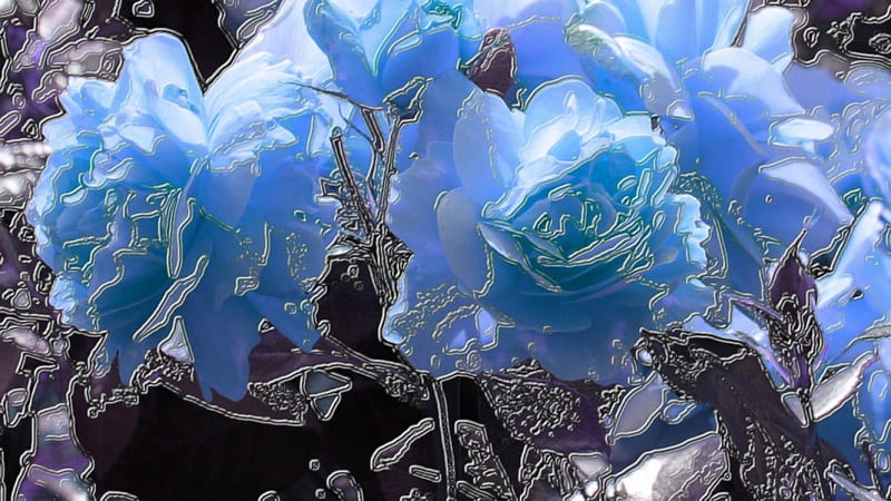 blue roses, pretty, cg, bonito, gentle, flowers, gorgeous, blue, floral art, fantastic, pure, glassy, roses, abstract, 3d, cool, pastel, HD wallpaper