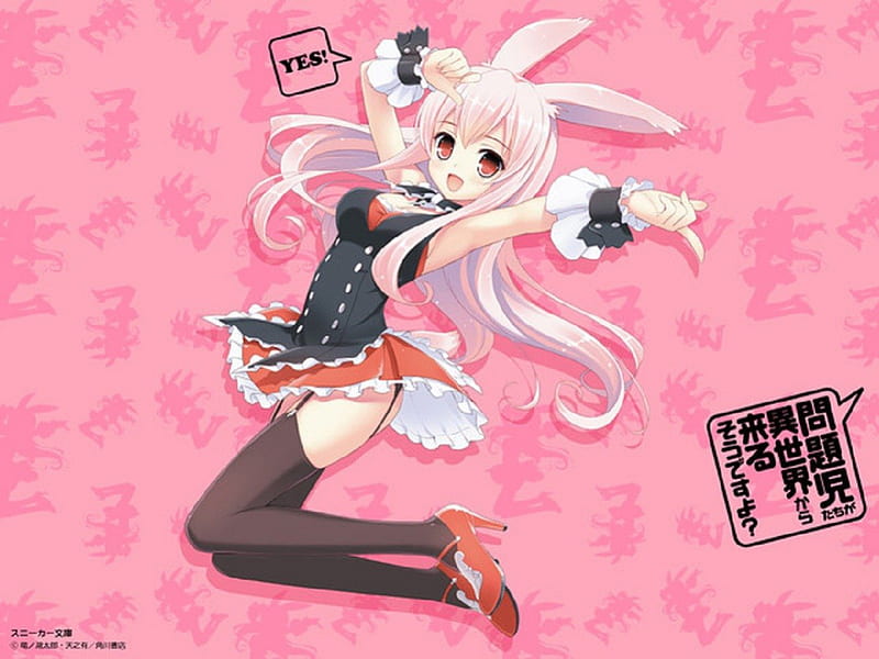 Mondaiji-tachi ga Isekai Kara Kuru Sō Desu yo, Kuro Usagi, Pink, Black  Rabbit, HD wallpaper