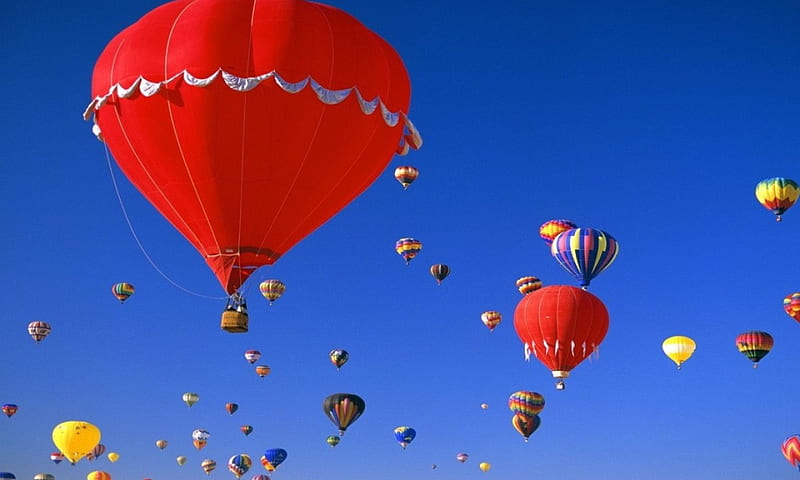 Have a happy day., ballons, red, blue, air, HD wallpaper