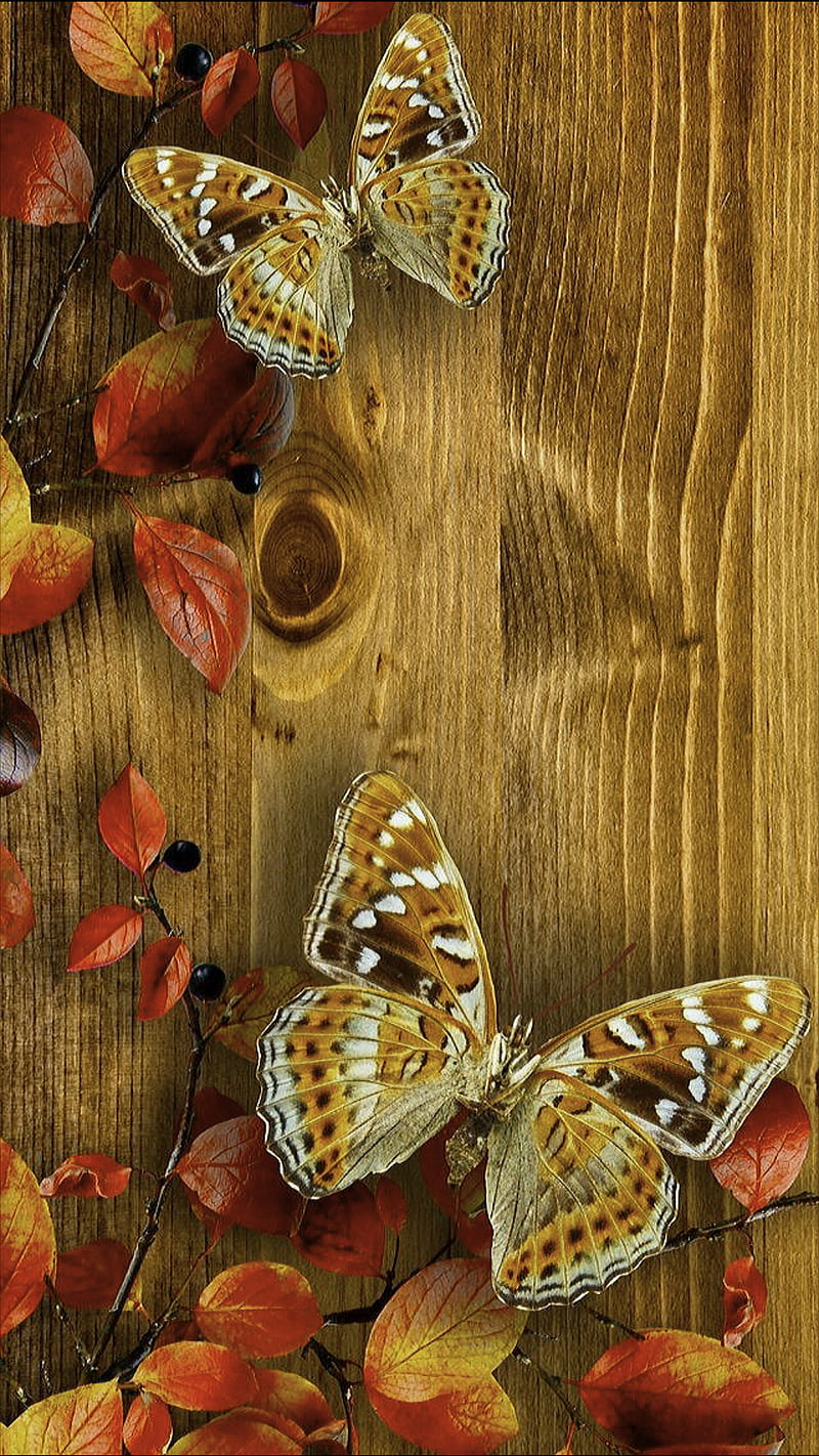 Butterflies, butterfly, leaves, nature, wood, HD phone wallpaper