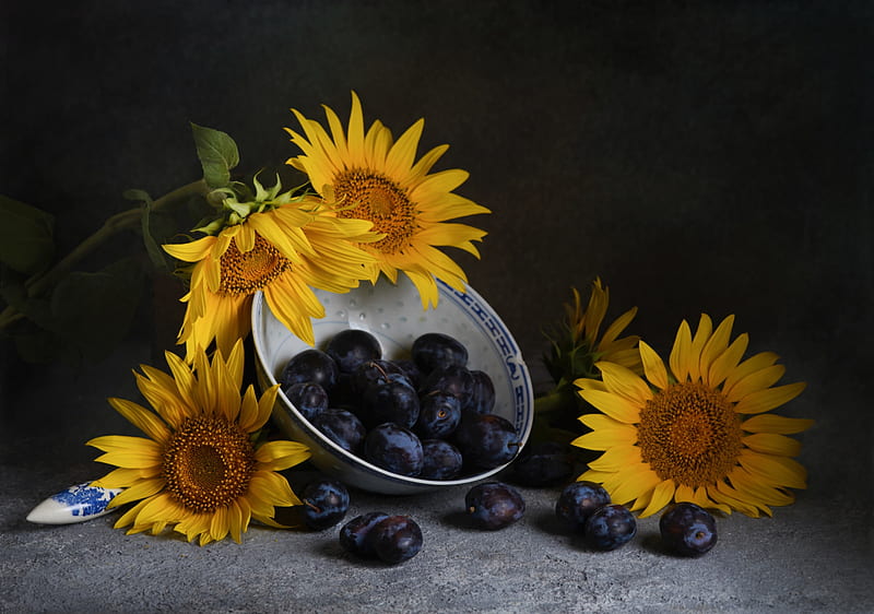 Food, Plum, Fruit, Sunflower, HD wallpaper