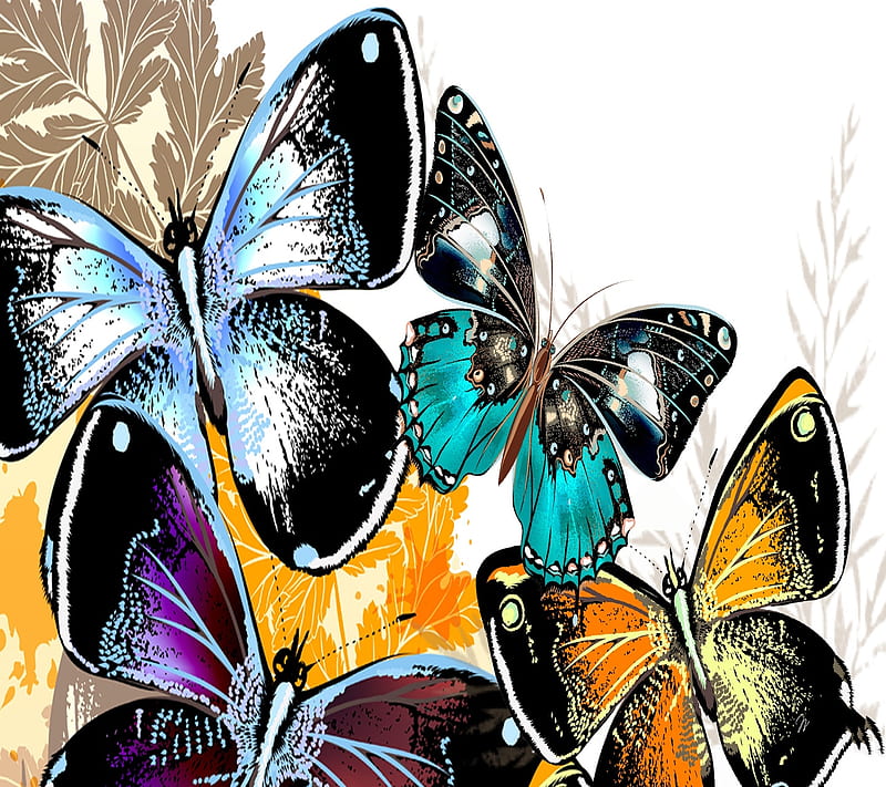 Lovely Butterflies, colors, wings, flutter, butterfly, HD wallpaper ...