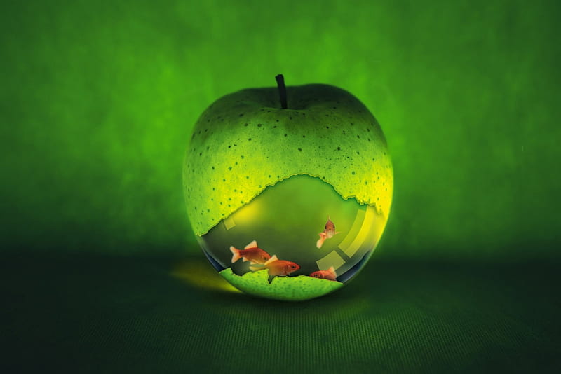 Apple Goldfish Bowl, apple, green, abstract, bowl, goldfish, HD wallpaper