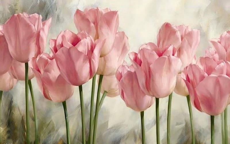 Soft pink tulips, painting, bonito, soft, tulips, pink, HD wallpaper