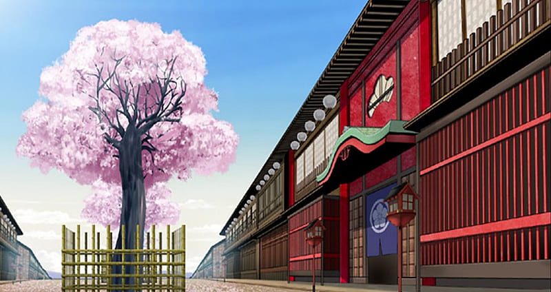Cherry Tree, shop, sakura, house, lovely, sakura blossom, plant, sky, cherry blossom, floral, sweet, building, tree, blossom, anime, flower, petals, HD wallpaper