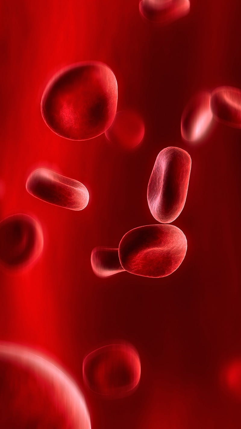 Blood Cells 3d, abstract, close up, red, HD phone wallpaper