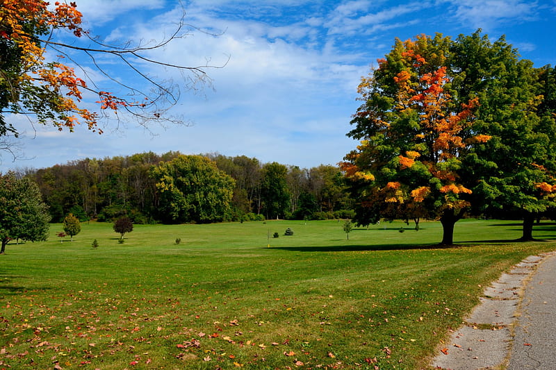 Autumn Field, open field, autumn trees, autumn colors, open spaces, HD wallpaper