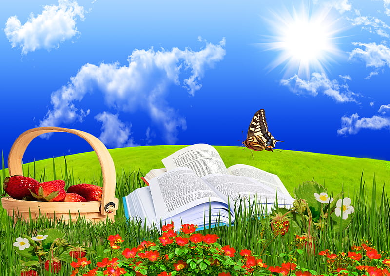 Flowers field, pretty, colorful, sun, grass, books, sunny, book, bonito, clouds, butterfly, green, flowers, strawberries, colors, sky, rays, basket, summer, nature, field, HD wallpaper