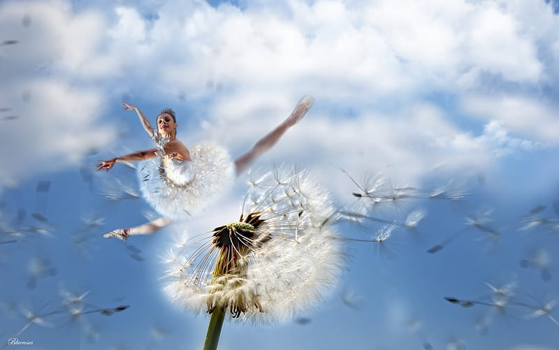 Wishes dancing in the air..., ballerina, bloom, sky, dancing, clouds, dandelion, fantasy, girl, air, dance, HD wallpaper