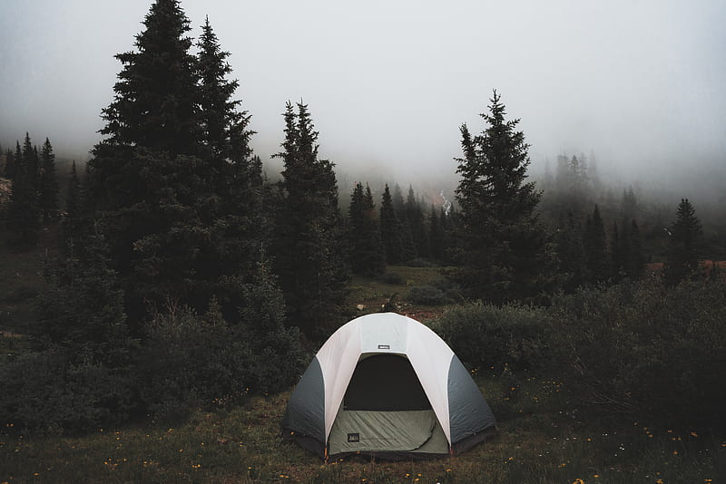 tent, camping, trees, fog, nature, HD wallpaper