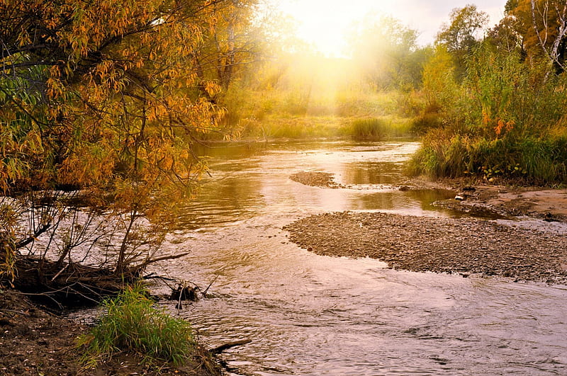 HD wallpaper: ultra hd 8k resolution 7680x4320 natures sunshine, autumn