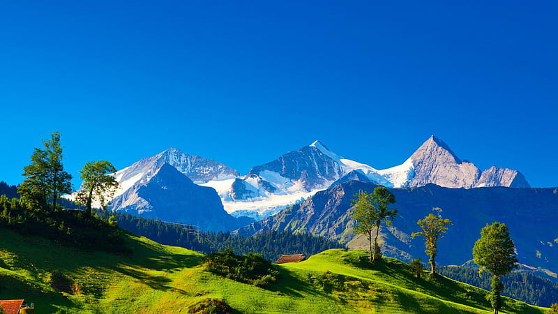 Beautiful Greenery Farm And Landscape View Of White Covered Mountain In  Blue Sky Background HD Bing Wallpapers, HD Wallpapers