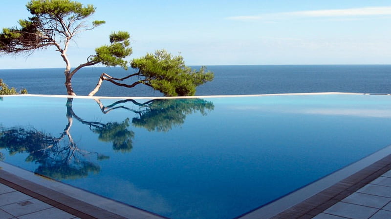 Open Air Pool, tree, holiday, pool, sea, HD wallpaper