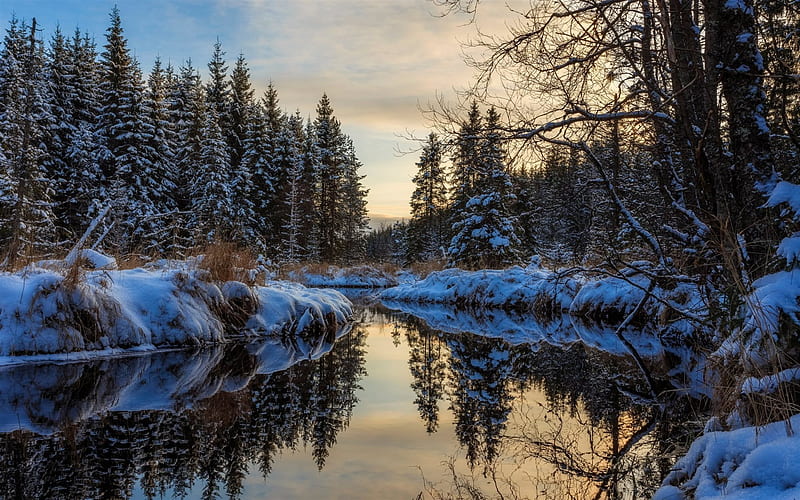river, winter, forest, sunset, evening, winter landscape, snow, HD wallpaper