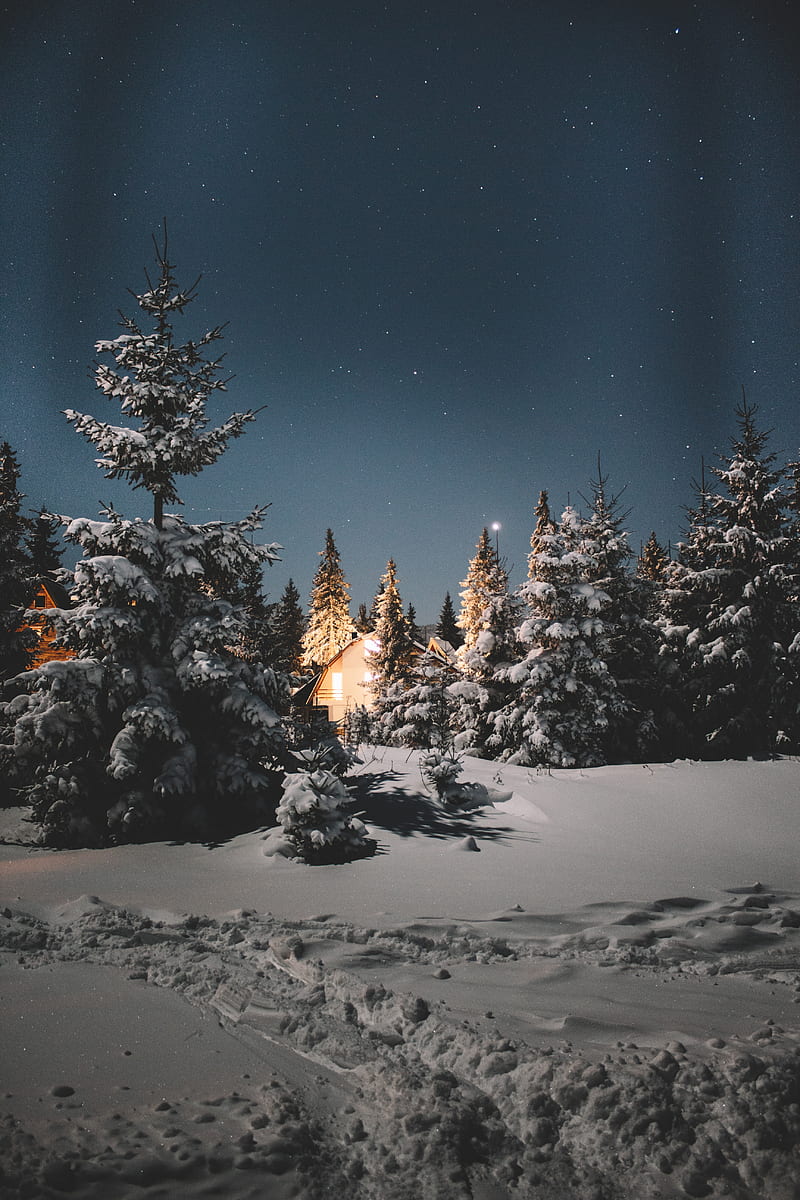 Cold Winter, cottage, mountains, night, nightsky, sky, snow, winter, woods, HD phone wallpaper