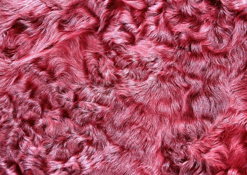 Pink fur, skin, pink, fur, texture, HD wallpaper