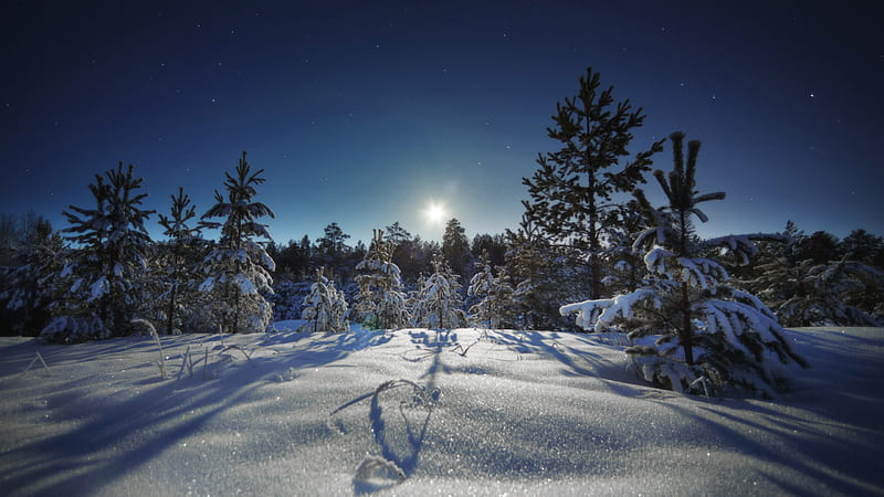 Snow Covered Landscape Under Blue Sky During Sunrise Winter, HD wallpaper