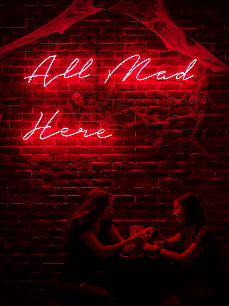 Women Sitting Under a Neon Sign, HD phone wallpaper