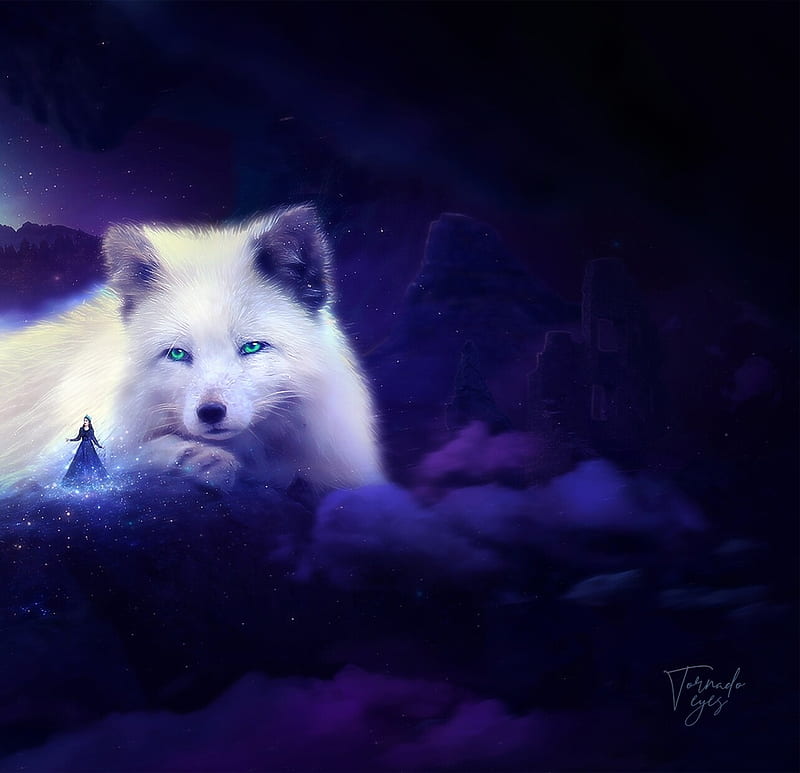 Cyberspace Arctic fox by JulianoLoren on DeviantArt