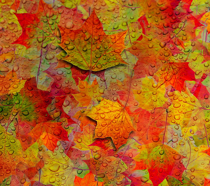 Leaves, 3d, autumn, fall, leaf, season, tree, HD wallpaper | Peakpx