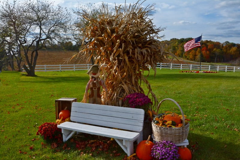 Beautiful Harvest Decor, harvest, autumn decor, festive, harvest decor, scenic decor, HD wallpaper