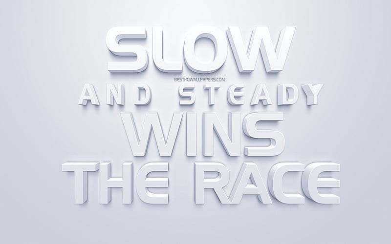 Slow and steady wins the race, motivation quotes, 3d art, inspiration, quotes about people, HD wallpaper